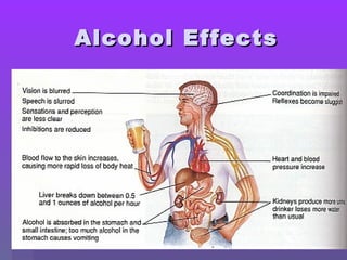 AAllccoohhooll EEffffeeccttss 
 