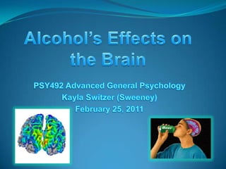 Alcohol’s Effects on the Brain  PSY492 Advanced General Psychology Kayla Switzer (Sweeney) February 25, 2011 