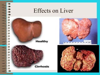 Effects on Liver
 