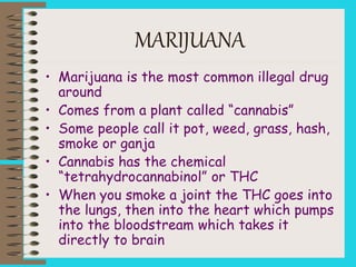 MARIJUANA
• Marijuana is the most common illegal drug
around
• Comes from a plant called “cannabis”
• Some people call it pot, weed, grass, hash,
smoke or ganja
• Cannabis has the chemical
“tetrahydrocannabinol” or THC
• When you smoke a joint the THC goes into
the lungs, then into the heart which pumps
into the bloodstream which takes it
directly to brain
 