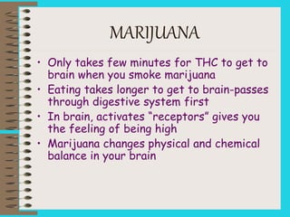 MARIJUANA
• Only takes few minutes for THC to get to
brain when you smoke marijuana
• Eating takes longer to get to brain-passes
through digestive system first
• In brain, activates “receptors” gives you
the feeling of being high
• Marijuana changes physical and chemical
balance in your brain
 