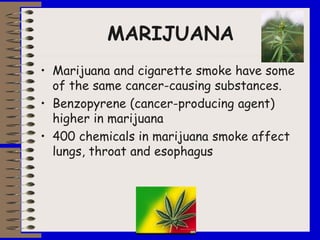 MARIJUANA
• Marijuana and cigarette smoke have some
of the same cancer-causing substances.
• Benzopyrene (cancer-producing agent)
higher in marijuana
• 400 chemicals in marijuana smoke affect
lungs, throat and esophagus
 