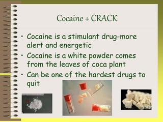 Cocaine + CRACK
• Cocaine is a stimulant drug-more
alert and energetic
• Cocaine is a white powder comes
from the leaves of coca plant
• Can be one of the hardest drugs to
quit
 