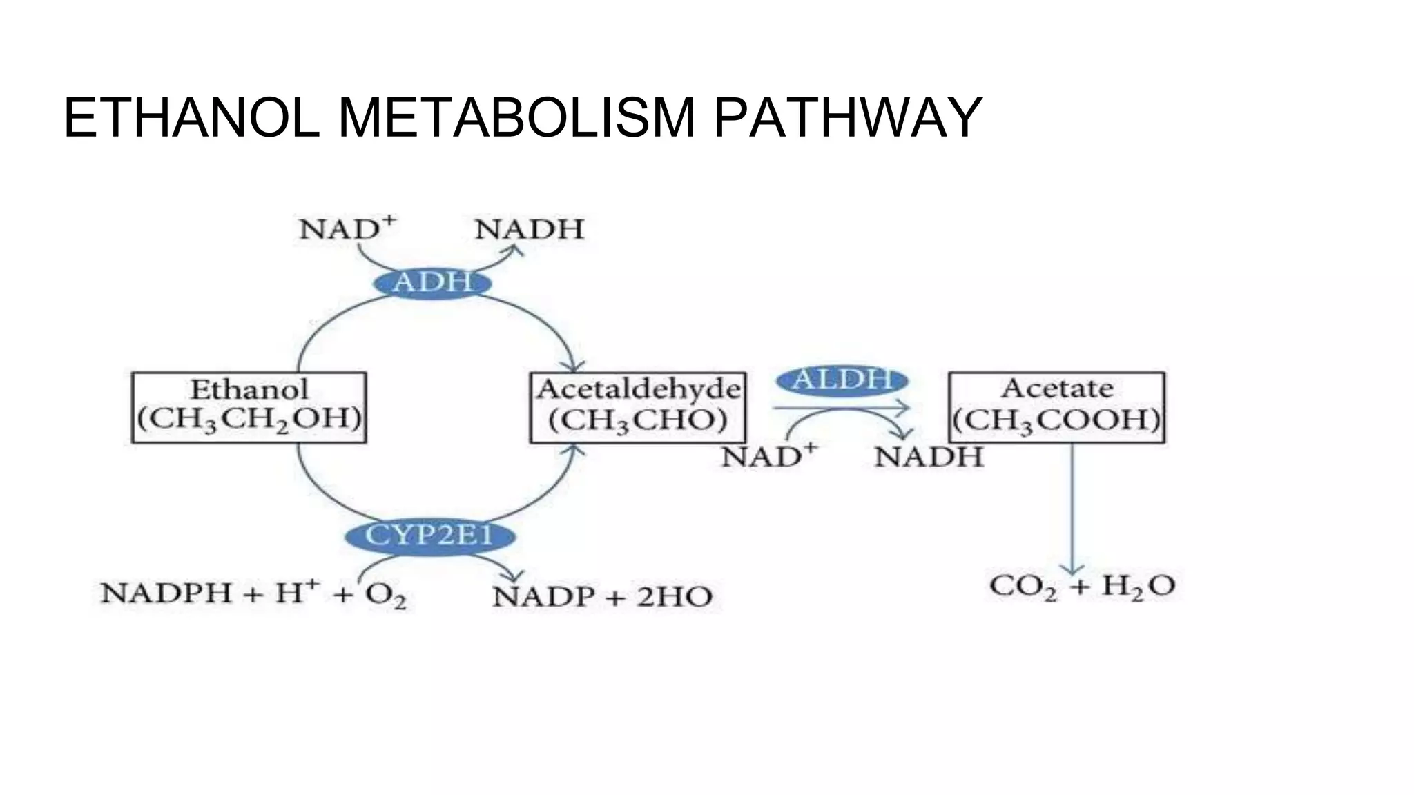 Alcohol toxicity case study | PPTX