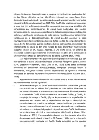 número de sistemas de receptores en el rango de concentraciones moderadas. Así,
en las últimas décadas se han identificado interacciones específicas dosis-
dependiente entre el etanol y los sistemas de neurotransmisores más importantes
(dopamina (DA), noradrenalina (NA), 5HT, ACh, GABA, Glu y opioides endógenos),
al igual que con sistemas de segundos mensajeros, que son muy sensibles a la
perturbación por concentraciones de etanol bajas-moderadas. Los efectos
farmacológicos del etanol parecen ser la suma de las interacciones con todos estos
sistemas. La diferente contribución de cada sistema neurotransmisor así como las
variaciones en la dosis/concentración de etanol pueden constituir la base
neuroquímica de la dependencia a la dosis de los efectos de comportamiento del
etanol. Se ha demostrado que los efectos sedativos, estimulantes, anxiolíticos y de
reforzamiento del etanol se dan entre rangos de dosis diferentes y relativamente
estrechos (Grant et al., 1990a). Además, a una cierta dosis, un sistema de
receptores específico puede ser más prominente que los otros en la contribución a
un determinado efecto de comportamiento del etanol (Eckardt et al., 1998).
       Más recientemente se ha sugerido que hay proteínas neuronales que son
muy sensibles al etanol y han sido llamadas Elementos Receptivos para el Alcohol
(ERA) (Tabakoff y Hoffman, 1987; Mihic et al., 1997). Entre estos elementos
receptivos se encuentran multisubunidades, complejos proteicos unidos a
membranas, incluyendo canales iónicos dependientes de ligando y proteínas
implicadas en señales neuronales de procesos de transducción (Eckardt et al.,
1998).
       Algunas de las interacciones más importantes entre el etanol y los sistemas
neurotransmisores son las siguientes:
•      Sistema GABAérgico. El GABA es un neurotransmisor presente en grandes
       concentraciones en todo el SNC y también en otros tejidos. Una clase de
       neuronas inhibidoras lo emplean como neurotransmisor. El etanol potencia
       la actividad del GABA al actuar sobre sus receptores GABAA y GABAB. El
       complejo del receptor GABAA (figura 4) pertenece a la superfamilia de
       receptores de canales iónicos dependientes de ligando (ionotrópicos),
       consistente en una proteína formada por cinco subunidades que se asocian
       formando un canal transmembranal permeable a iones cloruro con diferentes
       sitios de reconocimiento de ligandos, incluyendo en estos GABA, barbitúricos,
       benzodiacepinas, alcohol y neuroesteroides (McDonald y Olsen, 1994;
       Kandel et al., 2001). Y aunque el etanol no se une directamente a los sitios
       de reconocimiento de estos ligandos (McDonald, 1995), puede potenciar la
       neurotransmisión mediada por GABA. Cada subunidad de los canales

                                                                                 14
 