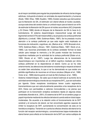 es el mayor candidato para regular las propiedades de refuerzo de las drogas
    adictivas, incluyendo el etanol, en animales de experimentación y humanos
    (Koob, 1992; Wise, 1996; Kiyatkin, 1995). Existen estudios que demuestran
    que la liberación de DA, al estimular con etanol afecta al núcleo caudado,
    aunque este área del cerebro tiene un umbral mayor para el etanol con el fin
    de estimular la liberación de DA que en el núcleo accumbens (AC) (Imperato
    y Di Chiara 1986) donde el bloqueo de la liberación de DA lo hace la (-
    butirolactona. El sistema dopaminérgico mesocortical surge del área
    tegmental ventral (VTA) del mesencéfalo y se proyecta a la corteza prefrontal
    (Björklund y Lindvall, 1984; Goldman-Rakic, 1987). Se ha prestado mucha
    atención a la corteza prefrontal ya que esta región está implicada en
    funciones de motivación, cognitivas, etc. (Bartus et al., 1978; Brozoski et al.,
    1979; Goldman-Rakic y Brown, 1981; Goldman-Rakic, 1987; Wenk et al.,
    1989). Las neuronas piramidales de la corteza cerebelar forman la base
    celular para trabajar la memoria y la DA puede modular las funciones
    cognitivas mediadas por la actividad de la corteza prefrontal (Dolan et al.,
    1995; Okubo et al., 1997). Luego las alteraciones de la transmisión
    dopaminérgica son importantes en el déficit cognitivo mediado por dicha
    corteza prefrontal en la dependencia al etanol. Como ya se ha visto
    anteriormente, las alteraciones del sistema noradrenérgico respecto al etanol
    no están bien estudiadas, lo que si se ha demostrado es que existe una
    pérdida significativa de neuronas en el locus ceruleus (Mayes et al., 1988;
    Victor el al., 1989) disminuyendo el nivel de NA (Carlsson et al., 1980).
•   Sistema indolaminérgico. Se sabe que el etanol estimula el aumento de la
    actividad serotoninérgica a través de sus receptores 5HT3, que son activados
    por ligando. Estos receptores ionotrópicos tienen cuatro segmentos
    transmembrana que son estructuralmente parecidos a los receptores de la
    ACh. Estos son permeables a cationes monovalentes y se piensa que
    participan en la transmisión sináptica excitadora rápida en algunas áreas
    cerebrales (Kandel et al., 2001). El sistema de la 5HT en el cerebro juega un
    papel importante mediando los efectos del etanol cuando está en dosis bajas-
    moderadas. De acuerdo a la relación entre el funcionamiento de la 5HT
    cerebral y el consumo de etanol, se han encontrado agentes capaces de
    inhibir la recaptura de 5HT, aumentando la concentración de esta en la
    hendidura sináptica. Teniendo en cuenta los efectos directos del etanol en la
    función del receptor serotoninérgico, concentraciones bajas-moderadas de
    etanol tienen poco efecto en la interacción de la 5HT con varios subtipos de

                                                                                 21
 