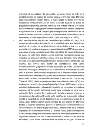 memoria, el aprendizaje y la percepción. La mayor fuente de ACh en el
    cerebro viene de los núcleos del cerebro basal, y se proyecta hacia diferentes
    regiones cerebrales (Saper, 1987) . El núcleo septal medial se proyecta del
    hipocampo principalmente por el fórnix; la banda diagonal de Broca se
    proyecta al hipocampo, al bulbo olfatorio y a la corteza límbica; y el núcleo
    basal de Meynert se proyecta hacia las cortezas frontal, parietal y temporal.
    En pacientes con el SWK, hay una pérdida significante de neuronas en los
    núcleos basales y una reducción de la actividad acetilcolintransferasa en el
    neocortex y el hipocampo (Arendt et al., 1983; Nordberg et al., 1983).
•   Otro ejemplo de las alteraciones moleculares producidas a lo largo de la
    exposición al etanol es la variación de la actividad de la adenilato ciclasa
    cerebral. Al principio de su administración, el alcohol la activa, con lo que
    aumentan los niveles de adenosín-monofosfato cíclico (AMPc) pero tras la
    exposición crónica se reduce la actividad enzimática. Se ha demostrado que
    el etanol no solo tiene efectos en los sistemas neurotransmisores que
    modulan su actividad adenilato ciclasa sino que también, tiene efectos
    directos en los componentes del sistema de transducción de señales de esta
    enzima, que sirven para afectar las interacciones entre varios
    neurotransmisores y regular los niveles neuronales de AMPc. La adición de
    etanol en forma aguda a las células o a preparados de membranas celulares
    lleva al aumento de la actividad de agonistas de la adenilato ciclasa. Existen
    nueve isoformas de esta enzima que muestran diferente sensibilidad al efecto
    estimulador del etanol, el tipo más sensible es la isoforma VII (Yoshimura y
    Tabakoff, 1995). Se ha sugerido que la proteína G estimuladora (Gs) está
    implicada en la acción del etanol (Tabakoff y Hoffman, 1998) debido a que la
    actividad de la adenilato ciclasa está modulada por receptores acoplados a
    proteínas G. La acción del etanol puede estar mediada en parte por la
    activación de la proteína Gs, y esta acción del etanol parece promover la
    interacción de la proteína G con la parte catalítica de la adenilato ciclasa,
    siendo la magnitud del efecto dependiente de la isoforma que exista en la
    célula. Estos datos sugieren que la actividad de este enzima en diferentes
    tejidos y regiones cerebrales puede ser estimulada sustancialmente por
    concentraciones de etanol bajas-moderadas, dependiendo de la isoforma
    expresada en ese tejido (Yoshimura y Tabakoff, 1995). Esta enzima genera
    AMPc, que es un segundo mensajero distribuido en casi todos las células del
    organismo incluyendo el SNC. La estimulación en la producción del AMPc en
    el cerebro por el etanol probablemente se afecte por un gran número de

                                                                               23
 