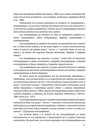 diferencias de significado (McDonald y Barret, 1986), hoy se utilizan indistintamente
junto al de enzimas proteolíticos y son proteasas, proteinasas y peptidasas (Barret
et al., 1998).
        Clásicamente los enzimas proteolíticos se dividieron en exopeptidasas y
endopeptidasas. Los primeros hidrolizan los enlaces próximos a los extremos N- o
C-terminal de la cadena polipeptídica, mientras que las endopeptidasas actuarían
sobre enlaces distintos de los extremos de la cadena.
        Las endopeptidasas se dividieron en base al metabolismo catalítico en:
Serina endopeptidasa, cistina endopeptidasa, aspártico endopeptidasa y
metalopeptidasas.
        Las exopeptidasas se clasifican de acuerdo a la especificidad que muestran
por un determinado sustrato y se les suele asignar un nombre convencional que
indica el extremo del péptido (grupo "-amino o "-carboxilo) frente al cual son
activos y el tamaño del fragmento liberado (aminoácido, dipéptido o tripéptido
aislado).
        Las exopeptidasas que requieren un grupo "-amino libre se denominan
aminopeptidasas si liberan aminoácidos y dipeptidil aminopeptidasas y tripeptidil
aminopeptidasas si liberan dipéptidos y tripeptidos respectivamente.
        Las exopeptidasas que requieren un grupo carboxilo terminal no sustituido
en los péptidos se denominan carboxipeptidasas si liberan aminoácidos y dipeptidil
carboxipeptidasas si liberan dipéptidos.
        Un tercer grupo de exopeptidasas son las denominadas dipeptidasas y
tripeptidasas, cuyo principal atributo es su especificidad por sustratos que poseen
una determinada distancia (de dos o tres aminoácidos respectivamente) entre el
grupo "-amino libre y el grupo "-carboxilo libre. Esto da lugar a confusiones, ya que
ciertas dipeptidasas y tripeptidasas parecen afectar a cadenas polipeptídicas
mayores (Coffey y de Duve, 1968) y algunas aminopeptidasas pueden utilizar como
sustratos dipéptidos y tripéptidos de diversa naturaleza (Felfenhauer y Glenner,
1966; Kania et al., 1977).
        Las omega peptidasas agrupan a aquellas exopeptidasas capaces de separar
residuos terminales cuyo grupo "-amino o "-carboxilo no se encuentra libre porque
esté ciclado (p.ej. piroglutamato aminopeptidasa), sustituido o unido a otros residuos
terminales que formen enlace mediante un grupo carboxilo o amino no unido a un
carbono " ((-glutamato aminopeptidasa).
        Los nombres dados a la mayoría de las aminopeptidasas se basan
frecuentemente en sus preferencias o requerimientos por un residuo N-terminal
característico. De igual modo, los nombres asignados a las carboxipeptidasas que

                                                                                   25
 
