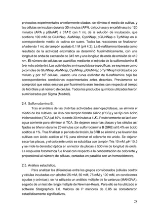 protocolos experimentales anteriormente citados, se elimina el medio de cultivo, y
las células se incuban durante 30 minutos (APN, oxitocinasa y encefalinasa) o 120
minutos (APA y pGluAP) a 37/ C con 1 mL de la solución de incubación, que
contiene 100 mM de GluNNap, AlaNNap, CysNNap, pGluNNap o TyrNNap en el
correspondiente medio de cultivo sin suero. Todas las reacciones se finalizaron
añadiendo 1 mL de tampón acetato 0.1 M (pH 4.2). La ß-naftilamina liberada como
resultado de la actividad enzimática se determinó fluorimétricamente, con una
longitud de onda de excitación de 345 nm y una longitud de onda de emisión de 410
nm. El número de células se cuantifico mediante el método de la sulforrodamina B
(ver más adelante). Las actividades aminopeptidasa específicas, se expresan como
picomoles de GluNNap, AlaNNap, CysNNap, pGluNNap o TyrNNap hidrolizados por
minuto y por 106 células, usando una curva estándar de ß-naftilamina bajo las
correspondientes condiciones experimentales antes descritas. Previamente se
comprobó que estos ensayos por fluorimetría eran lineales con respecto al tiempo
de hidrólisis y al número de células. Todos los productos químicos utilizados fueron
suministrados por Sigma (Madrid).

2.4. Sulforrodamina B.
        Tras el análisis de las distintas actividades aminopeptidasas, se eliminó el
medio de los cultivos, se lavó con tampón fosfato salino (PBS) y se fijó con ácido
tricloroacético (TCA) al 10% durante 30 minutos a 4 /C. Posteriormente se lavó con
agua corriente para eliminar el TCA. Se dejaron secar las placas y las células así
fijadas se tiñeron durante 20 minutos con sulforrodamina B (SRB) al 0.4% en ácido
acético al 1%. Tras finalizar el periodo de tinción, la SRB se eliminó y se lavaron los
cultivos con ácido acético al 1% para eliminar el colorante no unido. Se dejaron
secar las placas, y el colorante unido se solubiliza con tampón Tris 10 mM, pH 10.5
y se mide la densidad óptica en un lector de placas a 530 nm de longitud de onda.
La respuesta fotométrica fue lineal con respecto a la concentración de colorante y
proporcional al número de células, contadas en paralelo con un hemocitómetro.

2.5. Análisis estadístico.
       Para analizar las diferencias entre los grupos considerados (células control
y células incubadas con alcohol 25 mM, 50 mM, 75 mM y 100 mM, en condiciones
agudas y crónicas), se ha utilizado un análisis múltiple de la varianza (MANOVA),
seguido de un test de rango múltiple de Newman-Keuls. Para ello se ha utilizado el
software Statgraphics 7.0. Valores de P menores de 0.05 se consideraron
estadísticamente significativos.

                                                                                    28
 