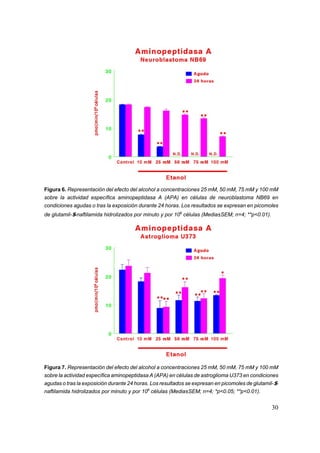 Figura 6. Representación del efecto del alcohol a concentraciones 25 mM, 50 mM, 75 mM y 100 mM
sobre la actividad específica aminopeptidasa A (APA) en células de neuroblastoma NB69 en
condiciones agudas o tras la exposición durante 24 horas. Los resultados se expresan en picomoles
de glutamil-$-naftilamida hidrolizados por minuto y por 106 células (Media±SEM; n=4; **p<0.01).




Figura 7. Representación del efecto del alcohol a concentraciones 25 mM, 50 mM, 75 mM y 100 mM
sobre la actividad específica aminopeptidasa A (APA) en células de astroglioma U373 en condiciones
agudas o tras la exposición durante 24 horas. Los resultados se expresan en picomoles de glutamil-$-
naftilamida hidrolizados por minuto y por 106 células (Media±SEM; n=4; *p<0.05; **p<0.01).


                                                                                                  30
 
