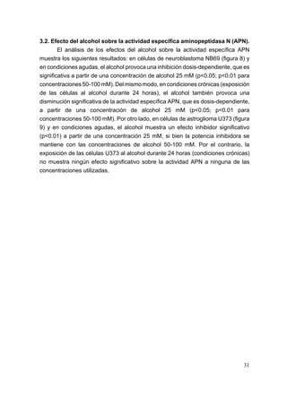 3.2. Efecto del alcohol sobre la actividad específica aminopeptidasa N (APN).
        El análisis de los efectos del alcohol sobre la actividad específica APN
muestra los siguientes resultados: en células de neuroblastoma NB69 (figura 8) y
en condiciones agudas, el alcohol provoca una inhibición dosis-dependiente, que es
significativa a partir de una concentración de alcohol 25 mM (p<0.05; p<0.01 para
concentraciones 50-100 mM). Del mismo modo, en condiciones crónicas (exposición
de las células al alcohol durante 24 horas), el alcohol también provoca una
disminución significativa de la actividad específica APN, que es dosis-dependiente,
a partir de una concentración de alcohol 25 mM (p<0.05; p<0.01 para
concentraciones 50-100 mM). Por otro lado, en células de astroglioma U373 (figura
9) y en condiciones agudas, el alcohol muestra un efecto inhibidor significativo
(p<0.01) a partir de una concentración 25 mM, si bien la potencia inhibidora se
mantiene con las concentraciones de alcohol 50-100 mM. Por el contrario, la
exposición de las células U373 al alcohol durante 24 horas (condiciones crónicas)
no muestra ningún efecto significativo sobre la actividad APN a ninguna de las
concentraciones utilizadas.




                                                                                31
 