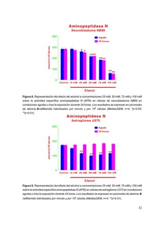 Figura 8. Representación del efecto del alcohol a concentraciones 25 mM, 50 mM, 75 mM y 100 mM
sobre la actividad específica aminopeptidasa N (APN) en células de neuroblastoma NB69 en
condiciones agudas o tras la exposición durante 24 horas. Los resultados se expresan en picomoles
de alanina-$-naftilamida hidrolizados por minuto y por 106 células (Media±SEM; n=4; *p<0.05;
**p<0.01).




Figura 9. Representación del efecto del alcohol a concentraciones 25 mM, 50 mM, 75 mM y 100 mM
sobre la actividad específica aminopeptidasa N (APN) en células de astroglioma U373 en condiciones
agudas o tras la exposición durante 24 horas. Los resultados se expresan en picomoles de alanina-$-
naftilamida hidrolizados por minuto y por 106 células (Media±SEM; n=4; **p<0.01).


                                                                                                32
 