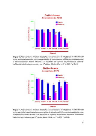 Figura 10. Representación del efecto del alcohol a concentraciones 25 mM, 50 mM, 75 mM y 100 mM
sobre la actividad específica oxitocinasa en células de neuroblastoma NB69 en condiciones agudas
o tras la exposición durante 24 horas. Los resultados se expresan en picomoles de cistina-$-
naftilamida hidrolizados por minuto y por 106 células (Media±SEM; n=4; *p<0.05; **p<0.01).




Figura 11. Representación del efecto del alcohol a concentraciones 25 mM, 50 mM, 75 mM y 100 mM
sobre la actividad específica oxitocinasa en células de astroglioma U373 en condiciones agudas o tras
la exposición durante 24 horas. Los resultados se expresan en picomoles de cistina-$-naftilamida
hidrolizados por minuto y por 106 células (Media±SEM; n=4; *p<0.05; **p<0.01).


                                                                                                  34
 