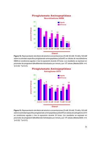 Figura 12. Representación del efecto del alcohol a concentraciones 25 mM, 50 mM, 75 mM y 100 mM
sobre la actividad específica piroglutamato-aminopeptidasa (pGluAP) en células de neuroblastoma
NB69 en condiciones agudas o tras la exposición durante 24 horas. Los resultados se expresan en
picomoles de piroglutamil-$-naftilamida hidrolizados por minuto y por 106 células (Media±SEM; n=4;
*p<0.05; **p<0.01).




Figura 13. Representación del efecto del alcohol a concentraciones 25 mM, 50 mM, 75 mM y 100 mM
sobre la actividad específica piroglutamato-aminopeptidasa (pGluAP) en células de astroglioma U373
en condiciones agudas o tras la exposición durante 24 horas. Los resultados se expresan en
picomoles de piroglutamil-$-naftilamida hidrolizados por minuto y por 106 células (Media±SEM; n=4;
*p<0.05; **p<0.01).


                                                                                               36
 