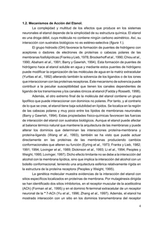 1.2. Mecanismos de Acción del Etanol.
         La complejidad y multitud de los efectos que produce en los sistemas
neuronales el etanol depende de la simplicidad de su estructura química. El etanol
es una droga débil, cuya molécula no contiene ningún carbono asimétrico. Así, su
interacción con sustratos biológicos no es estéreo-selectiva (figura 1.).
         El grupo hidroxilo (OH) favorece la formación de puentes de hidrógeno con
aceptores o dadores de electrones de proteínas o cabezas polares de las
membranas fosfolipídicas (Franks y Lieb, 1978; Brockerhoff et al., 1990; Chiou et al.,
1990; Abaham et al., 1991; Barry y Gawrish, 1994). Esta formación de puentes de
hidrógeno hace al etanol soluble en agua y mediante estos puentes de hidrógeno
puede modificar la organización de las moléculas de agua en la matriz extracelular
(Yurttas et al., 1992) alterando también la solvencia de los ligandos o de los iones
que interaccionan con las proteínas receptoras. Este mecanismo de solvencia puede
contribuir a la peculiar susceptibilidad que tienen los canales dependientes de
ligando de los transmisores y los canales iónicos al etanol (Fadda y Rossetti, 1998).
         Además, el otro extremo final de la molécula del etanol contiene un grupo
lipofílico que puede interaccionar con dominios no polares. Por tanto, y al contrario
de lo que se cree, el etanol tiene baja solubilidad en lípidos. Se localiza en la región
de las cabezas polares y muy poco entre los lípidos de membranas neuronales
(Barry y Gawrish, 1994). Estas propiedades físico-químicas favorecen las fuerzas
de interacción del etanol con sustratos biológicos. Aunque el etanol puede afectar
al balance térmico natural que mantiene la arquitectura de las membranas y puede
alterar los dominios que determinan las interacciones proteína-membrana y
proteína-ligando (Wang et al., 1993), también se ha visto que puede actuar
directamente en las proteínas de las membranas produciendo cambios
conformacionales que alteren su función (Eyring et al., 1973; Franks y Lieb, 1982;
1991; 1994; Lovinger et al., 1989; Dickinson et al., 1993; Li et al., 1994; Peoples y
Weight, 1995; Lovinger, 1997). Dicho efecto limitante no se debe a la interacción del
alcohol con la membrana lipídica, sino que implica la interacción del alcohol con un
bolsillo conformacional, teniendo una arquitectura esférica relativamente rígida en
la estructura de la proteína receptora (Peoples y Weight, 1995).
         La genética molecular muestra evidencias de la interacción del etanol con
sitios específicos localizados en proteínas de membrana. Por mutagénesis dirigida
se han identificado dos sitios inhibitorios, en el receptor muscular de la acetilcolina
(ACh) (Forman et al., 1995) y en el dominio N-terminal extracelular de un receptor
neuronal de la "7-ACh (Yu et al., 1996; Zhang et al., 1997). Además, el etanol ha
mostrado interacción con un sitio en los dominios transmembrana del receptor

                                                                                      4
 