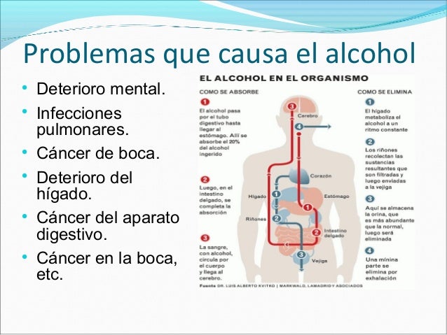 Bajar las presentaciones gratuitas por el alcoholismo
