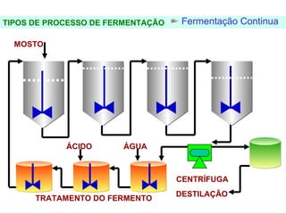 FERMENTAÇÃO - DORNAS

TIPOS DE PROCESSO DE FERMENTAÇÃO    Fermentação Continua

  MOSTO




               ÁCIDO    ÁGUA



                                   CENTRÍFUGA
                                   DESTILAÇÃO
        TRATAMENTO DO FERMENTO
 