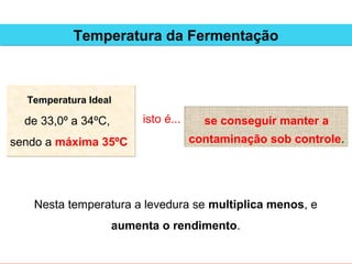 Temperatura da Fermentação



  Temperatura Ideal

  de 33,0º a 34ºC,        isto é...     se conseguir manter a
sendo a máxima 35ºC                   contaminação sob controle.




   Nesta temperatura a levedura se multiplica menos, e
                     aumenta o rendimento.
 