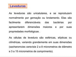 FERMENTAÇÃO - MICROBIOLOGIA BÁSICA


        Leveduras

        As leveduras são unicelulares, e se reproduzem
        normalmente por gemação ou brotamento. Elas são
        facilmente      diferenciáveis    das      bactérias    por
        apresentarem      dimensões      maiores    e   por    suas
        propriedades morfológicas .

        As células de levedura são esféricas, elípticas ou
        cilíndricas, variando grandemente em suas dimensões
        (sacharomcies cerevisie 2 a 8 micrometros de diâmetro
        e 3 a 15 micrometros de comprimento).
 
