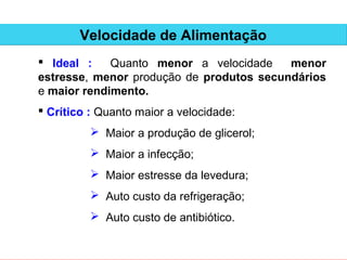 Velocidade de Alimentação
 Ideal :    Quanto menor a velocidade    menor
estresse, menor produção de produtos secundários
e maior rendimento.
 Crítico : Quanto maior a velocidade:
           Maior a produção de glicerol;
           Maior a infecção;
           Maior estresse da levedura;
           Auto custo da refrigeração;
           Auto custo de antibiótico.
 