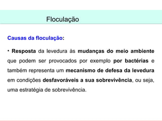 Floculação

Causas da floculação:

• Resposta da levedura às mudanças do meio ambiente
que podem ser provocados por exemplo por bactérias e
também representa um mecanismo de defesa da levedura
em condições desfavoráveis a sua sobrevivência, ou seja,
uma estratégia de sobrevivência.
 