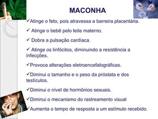 MACONHA
Atinge o feto, pois atravessa a barreira placentária.
 Atinge o bebê pelo leite materno.
 Dobra a pulsação cardíaca.
 Atinge os linfócitos, diminuindo a resistência a
infecções.
Provoca alterações eletroencefalográficas.
Diminui o tamanho e o peso da próstata e dos
testículos.
Diminui o nível de hormônios sexuais.
Diminui o mecanismo do rastreamento visual
Aumenta o tempo de resposta a um estímulo recebido.
 