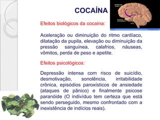 COCAÍNA
Efeitos biológicos da cocaína:

Aceleração ou diminuição do ritmo cardíaco,
dilatação da pupila, elevação ou diminuição da
pressão sanguínea, calafrios, náuseas,
vômitos, perda de peso e apetite.

Efeitos psicológicos:

Depressão intensa com risco de suicídio,
desmotivação,       sonolência,  irritabilidade
crônica, episódios paroxísticos de ansiedade
(ataques de pânico) e finalmente psicose
paranóide (O indivíduo tem certeza que está
sendo perseguido, mesmo confrontado com a
inexistência de indícios reais).
 