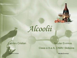 Alcoolii Lambru Cristian Niculai Ervinius Clasa a X-a A, CNMV Slobozia 