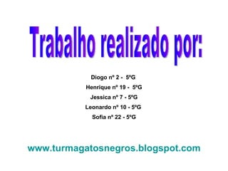 Trabalho realizado por: Diogo nº 2 -  5ºG  Henrique nº 19 -  5ºG Jessica nº 7 - 5ºG Leonardo nº 10 - 5ºG  Sofia nº 22 - 5ºG www.turmagatosnegros.blogspot.com 