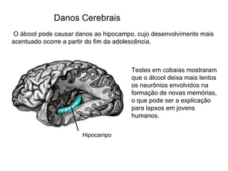 O álcool pode causar danos ao hipocampo, cujo desenvolvimento mais
acentuado ocorre a partir do fim da adolescência.
Testes em cobaias mostraram
que o álcool deixa mais lentos
os neurônios envolvidos na
formação de novas memórias,
o que pode ser a explicação
para lapsos em jovens
humanos.
Danos Cerebrais
Hipocampo
 