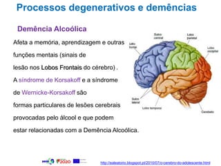 Processos degenerativos e demências
Demência Alcoólica
Afeta a memória, aprendizagem e outras
funções mentais (sinais de
lesão nos Lobos Frontais do cérebro) .
A síndrome de Korsakoff e a síndrome
de Wernicke-Korsakoff são
formas particulares de lesões cerebrais
provocadas pelo álcool e que podem
estar relacionadas com a Demência Alcoólica.
http://ealeatorio.blogspot.pt/2010/07/o-cerebro-do-adolescente.html
 