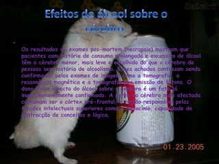 Efeitos do álcool sobre o cérebro. Os resultados de exames pos-mortem (necropsia) mostram que pacientes com história de consumo prolongado e excessivo de álcool têm o cérebro menor, mais leve e encolhido do que o cérebro de pessoas sem história de alcoolismo. Esses achados continuam sendo confirmados pelos exames de imagem como a tomografia, a ressonância magnética e a tomografia por emissão de fótons. O dano físico directo do álcool sobre o cérebro é um fato já inquestionavelmente confirmado. A parte do cérebro mais afectada costumam ser o córtex pré-frontal, a região responsável pelas funções intelectuais superiores como o raciocínio, capacidade de abstracção de conceitos e lógica. 
