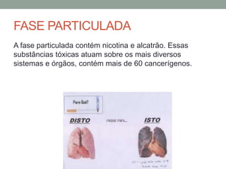FASE PARTICULADA
A fase particulada contém nicotina e alcatrão. Essas
substâncias tóxicas atuam sobre os mais diversos
sistemas e órgãos, contém mais de 60 cancerígenos.
 