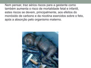 Nem pensar, traz sérios riscos para a gestante como
também aumenta o risco de mortalidade fetal e infantil,
estes riscos se devem, principalmente, aos efeitos do
monóxido de carbono e da nicotina exercidos sobre o feto,
após a absorção pelo organismo materno.
 