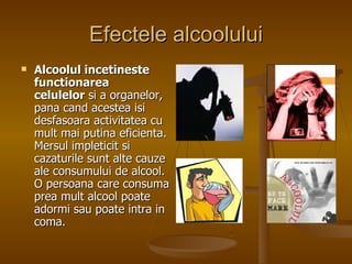 Efectele alcoolului Alcoolul incetineste functionarea celulelor  si a organelor, pana cand acestea isi desfasoara activitatea cu mult mai putina eficienta. Mersul impleticit si cazaturile sunt alte cauze ale consumului de alcool. O persoana care consuma prea mult alcool poate adormi sau poate intra in coma.  