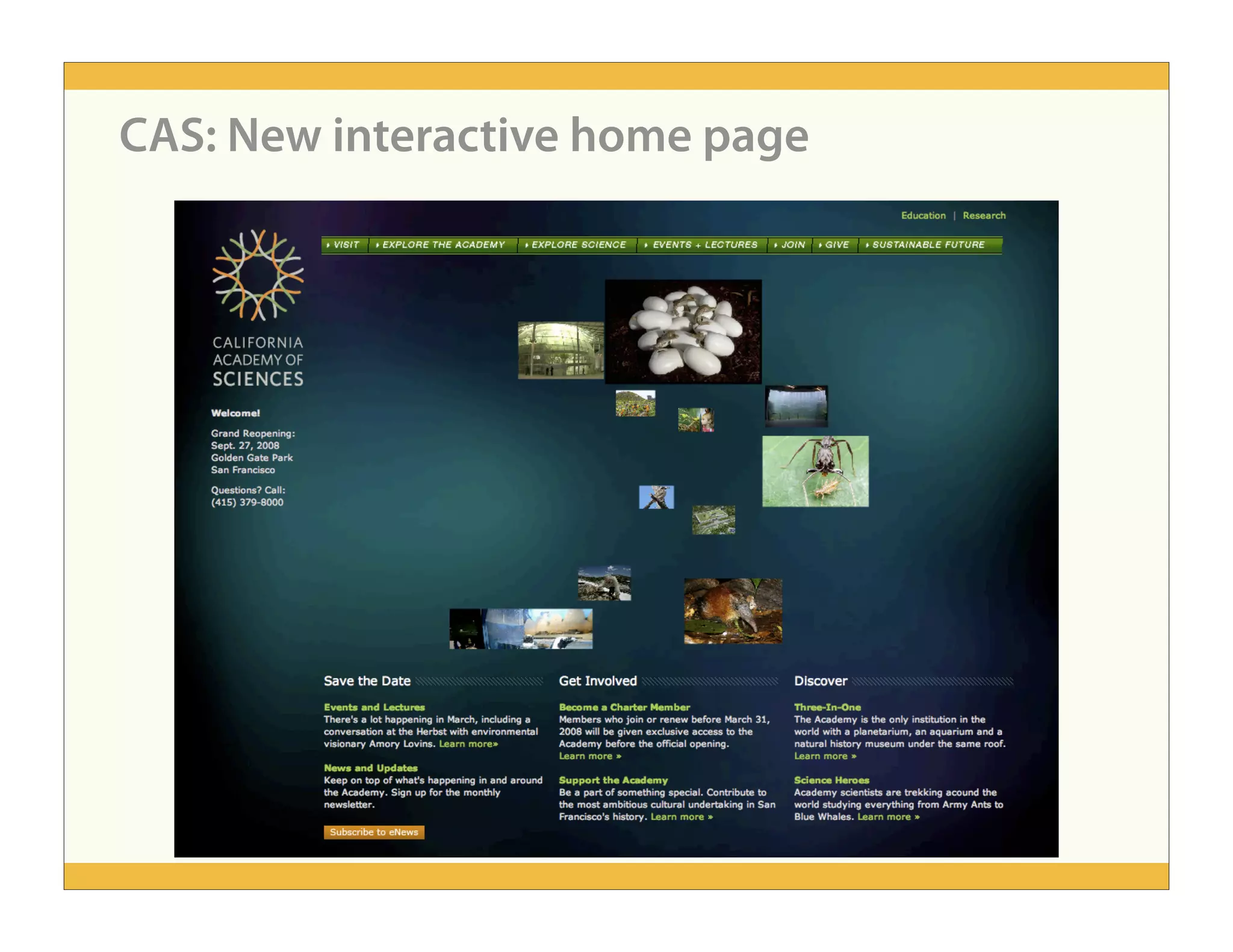 People-Centered Design