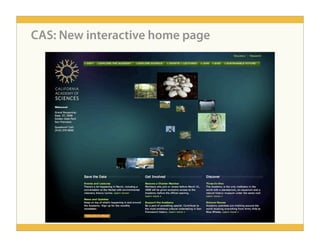 People-Centered Design