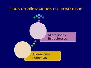 Alteraciones
numéricas
Alteraciones
Estructurales
Tipos de alteraciones cromosómicas
 