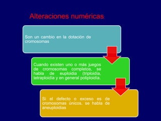 Alteraciones numéricas:
Son un cambio en la dotación de
cromosomas
Cuando existen uno o más juegos
de cromosomas completos, se
habla de euploidia (triploidía,
tetraploidía y en general poliploidía.
Si el defecto o exceso es de
cromosomas únicos, se habla de
aneuploidias
 