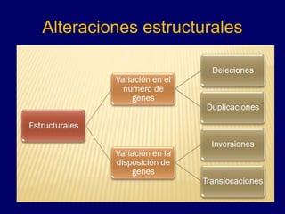 Alteraciones estructurales
 