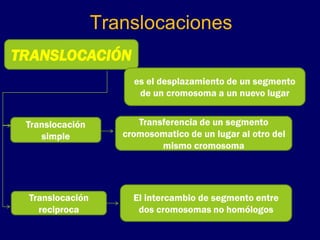 Translocaciones
TRANSLOCACIÓN
es el desplazamiento de un segmento
de un cromosoma a un nuevo lugar
Translocación
simple
Transferencia de un segmento
cromosomatico de un lugar al otro del
mismo cromosoma
Translocación
reciproca
El intercambio de segmento entre
dos cromosomas no homólogos
 