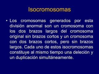 Isocromosomas
• Los cromosomas generados por esta
división anormal son un cromosoma con
los dos brazos largos del cromosoma
original sin brazos cortos y un cromosoma
con dos brazos cortos, pero sin brazos
largos. Cada uno de estos isocromosomas
constituye al mismo tiempo una deleción y
un duplicación simultáneamente.
 