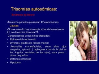 Síndrome de Down:
•Trastorno genético presentan 47 cromosomas
Causas:
•Ocurre cuando hay una copia extra del cromosoma
21, se denomina trisomía 21.
Características de los niños afectados:
• Retraso del crecimiento
• Diversos grados de retraso mental
• Anomalías craneofaciales, entre ellas ojos
rasgados, epicanto ( repliegues extra de la piel en
los ángulos mediales de los ojos), cara plana ,
oídos pequeños.
• Defectos cardiacos
• Hipotonía
Trisomías autosómicas:
 
