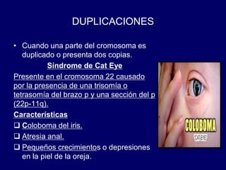 DUPLICACIONES
• Cuando una parte del cromosoma es
duplicado o presenta dos copias.
Síndrome de Cat Eye
Presente en el cromosoma 22 causado
por la presencia de una trisomía o
tetrasomía del brazo p y una sección del p
(22p-11q).
Características
❑ Coloboma del iris.
❑ Atresia anal.
❑ Pequeños crecimientos o depresiones
en la piel de la oreja.
 