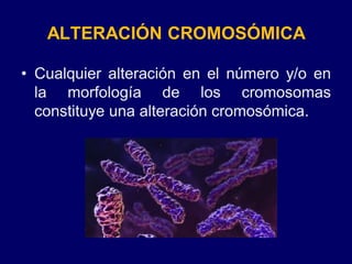 ALTERACIÓN CROMOSÓMICA
• Cualquier alteración en el número y/o en
la morfología de los cromosomas
constituye una alteración cromosómica.
 