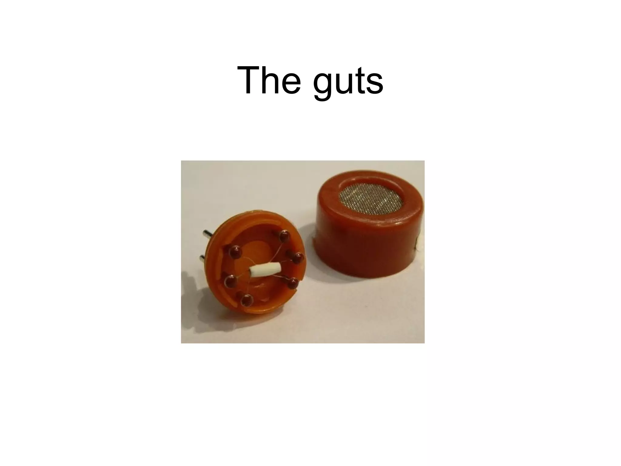 The guts 