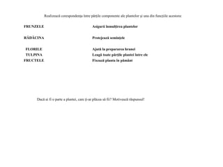 FRUNZELE Asigură înmulţirea plantelor
RĂDĂCINA Protejează seminţele
FLORILE Ajută la prepararea hranei
TULPINA Leagă toate părţile plantei între ele
FRUCTELE Fixează planta în pământ
Realizează corespondenţa între părţile componente ale plantelor şi una din funcţiile acestora:
Dacă ai fi o parte a plantei, care ţi-ar plăcea să fii? Motivează răspunsul!
 