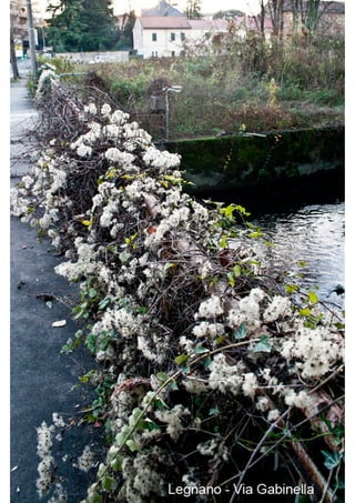 Powered by TCPDF (www.tcpdf.org)
 