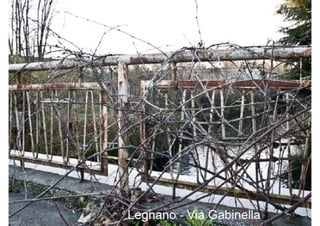 Powered by TCPDF (www.tcpdf.org)
 