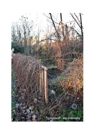 Powered by TCPDF (www.tcpdf.org)
 